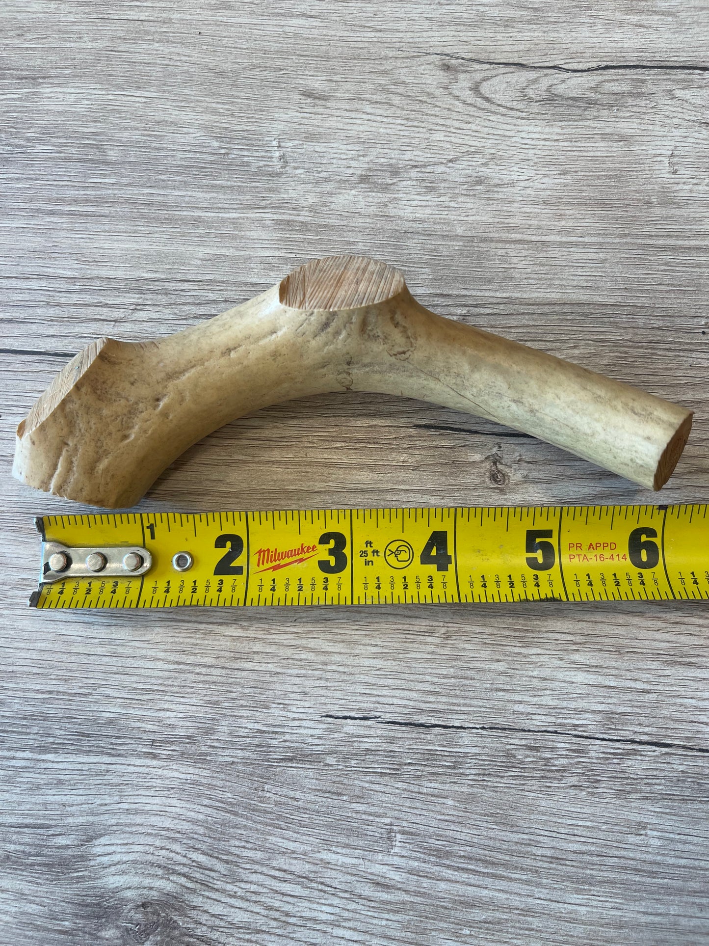 Nebraska Whitetail Deer Antler Chews