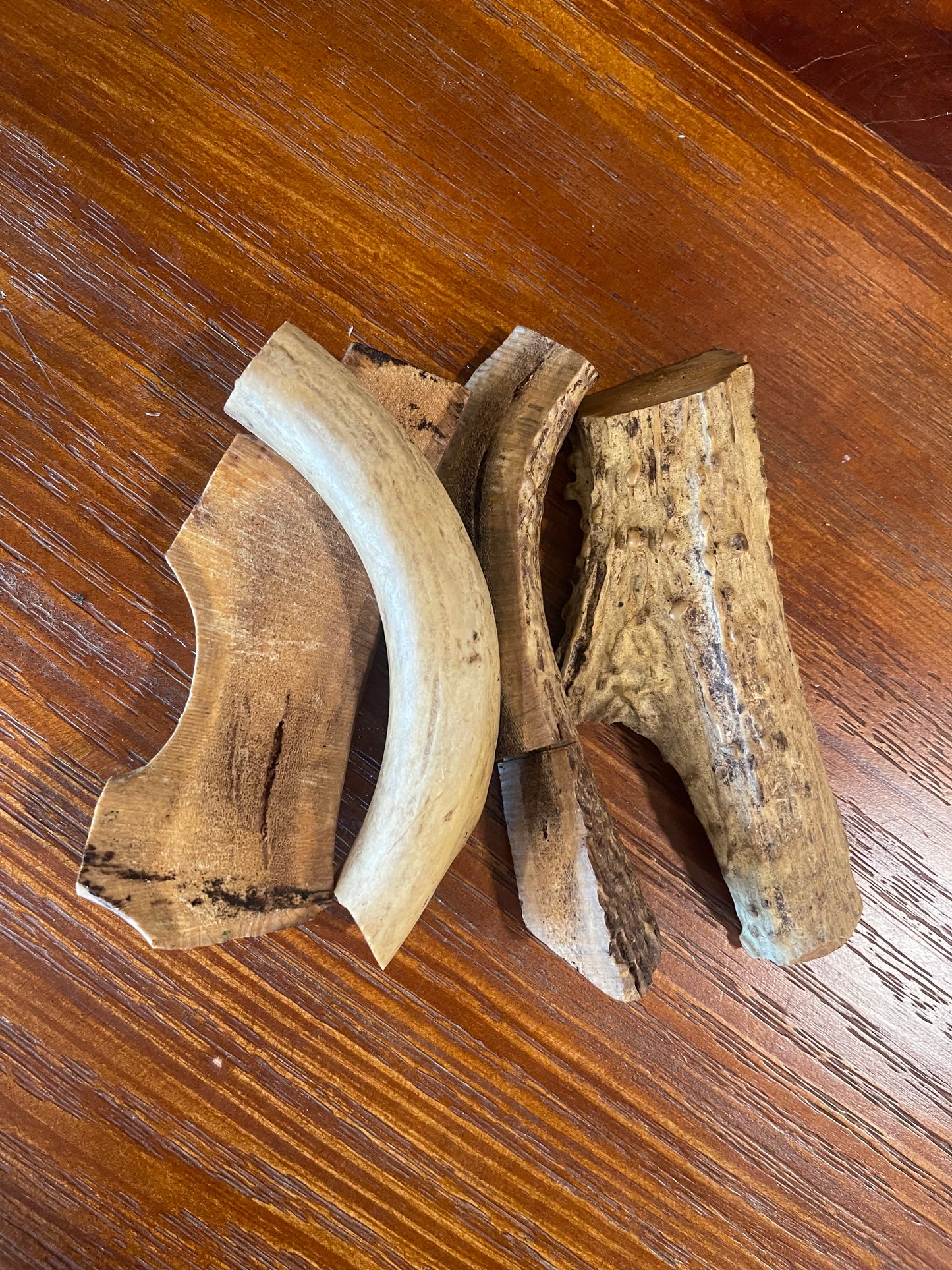 Nebraska Whitetail Deer Antler Chews